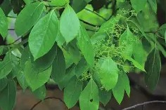 爱游戏体育 -包含8油&amp;聩的词条